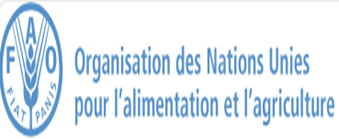Partenaire 9